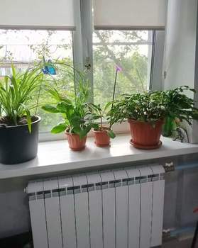 1-к квартира, вторичка, 25м2, 5/5 этаж