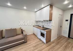 Студия квартира, вторичка, 24м2, 9/10 этаж