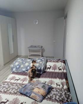 1-к квартира, вторичка, 33м2, 1/5 этаж