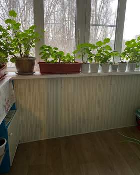 3-к квартира, вторичка, 68м2, 5/9 этаж